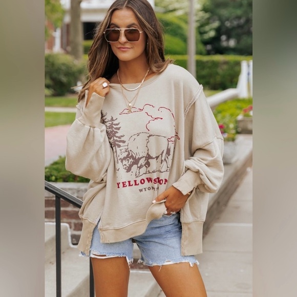 🆕FREE PEOPLE YELLOWSTONE We The Free Graphic Camden Pullover-Size Small - Picture 8 of 15
